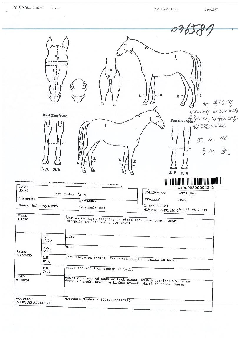 ���ô��� ����,���,�޸�,�λ�,�ٸ��� Ư¡����