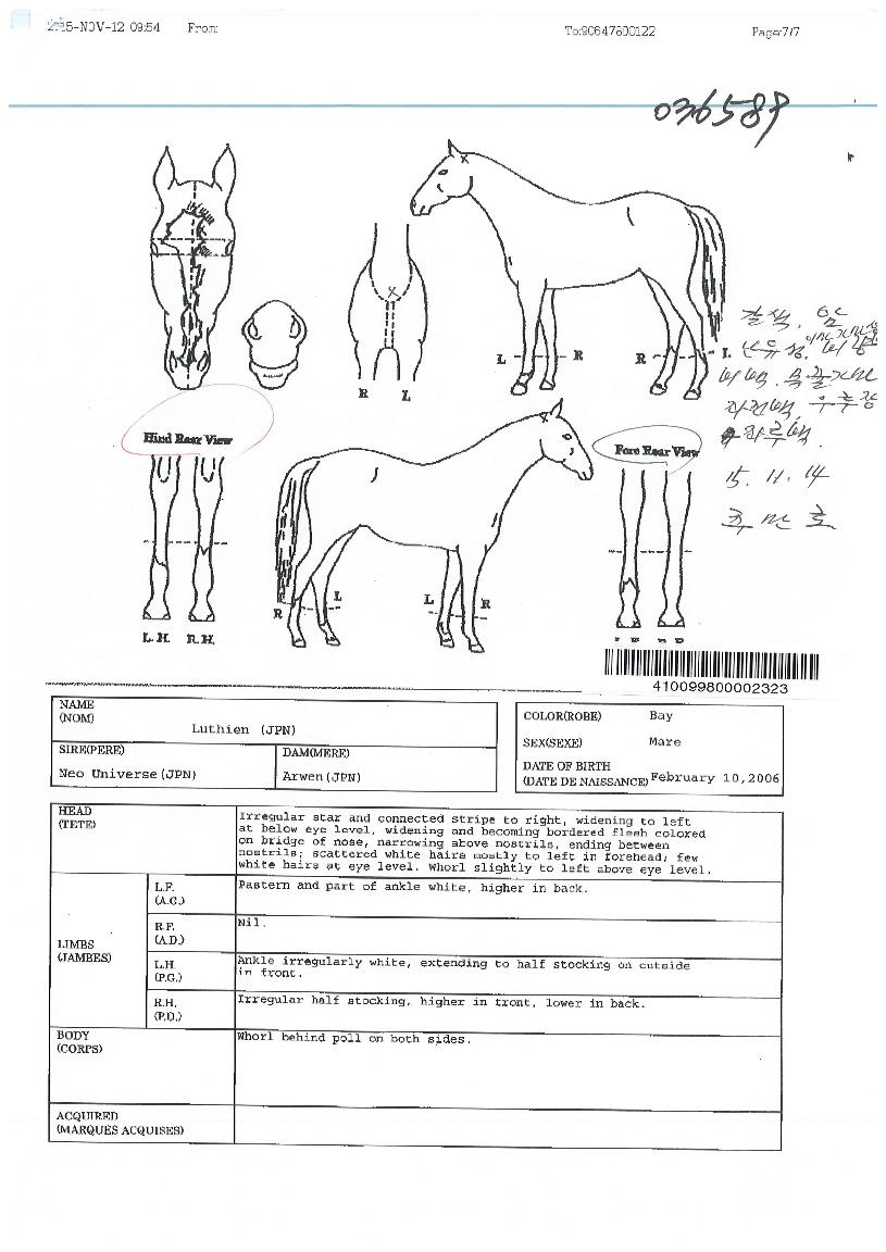 ·ç½Ã¿£ÀÇ Ãø¸é,¿ì¸é,µÞ¸é,µÎ»ó,´Ù¸®ÀÇ Æ¯Â¡µµÇØ