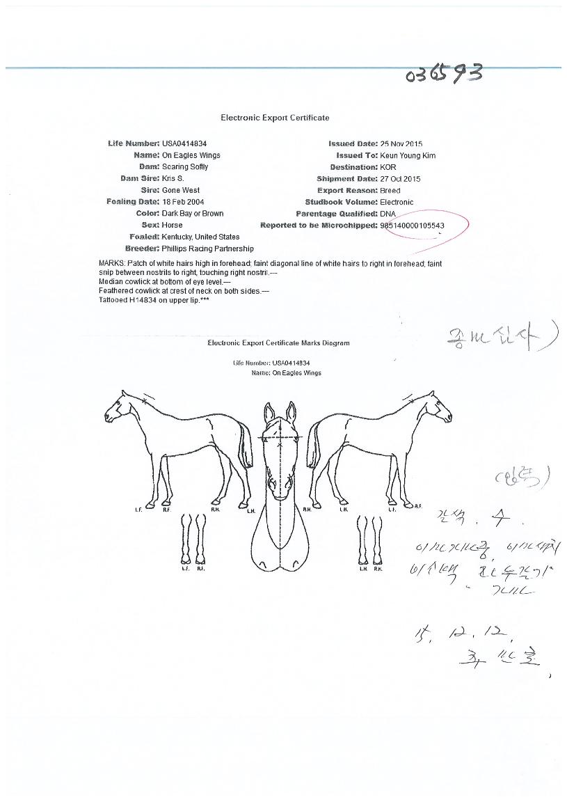 ���̱��������� ����,���,�޸�,�λ�,�ٸ��� Ư¡����