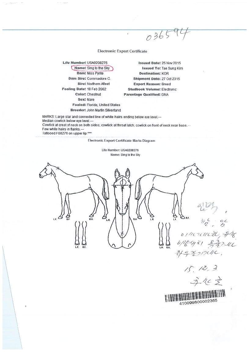 ��������ī���� ����,���,�޸�,�λ�,�ٸ��� Ư¡����