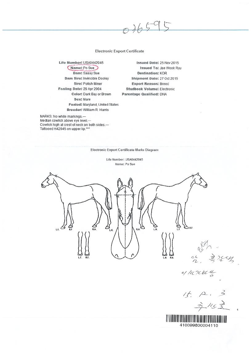 ������� ����,���,�޸�,�λ�,�ٸ��� Ư¡����