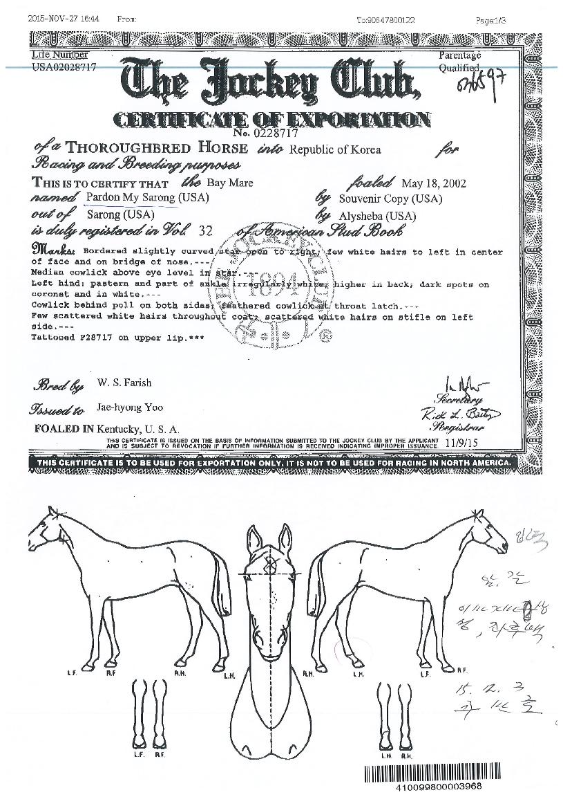 �ľƴ����̼����� ����,���,�޸�,�λ�,�ٸ��� Ư¡����