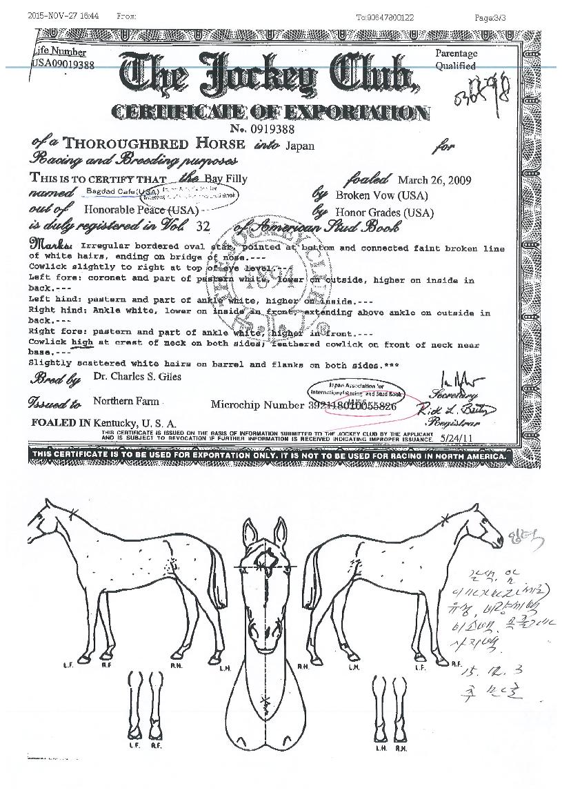 ��״��Ŀ������ ����,���,�޸�,�λ�,�ٸ��� Ư¡����