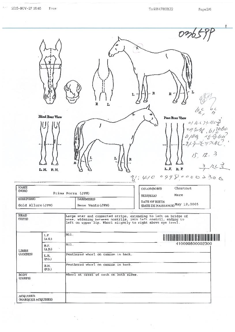 �������������� ����,���,�޸�,�λ�,�ٸ��� Ư¡����