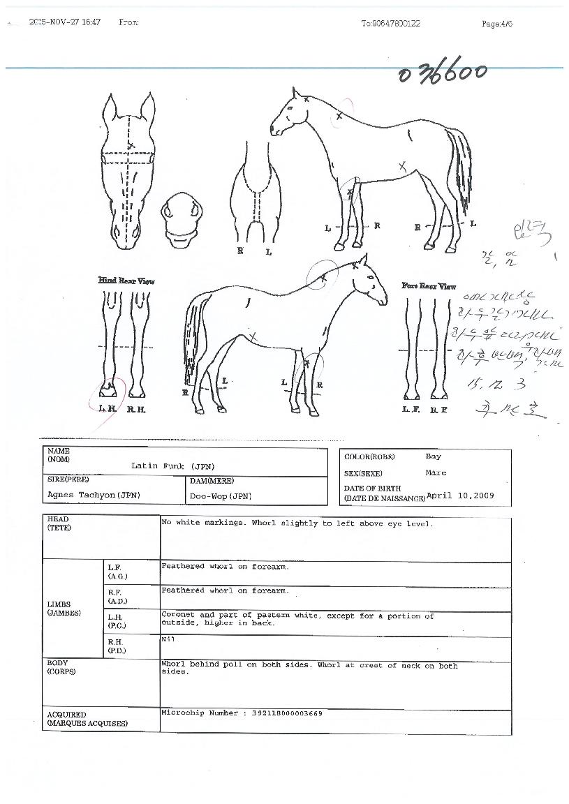 ������ũ�� ����,���,�޸�,�λ�,�ٸ��� Ư¡����