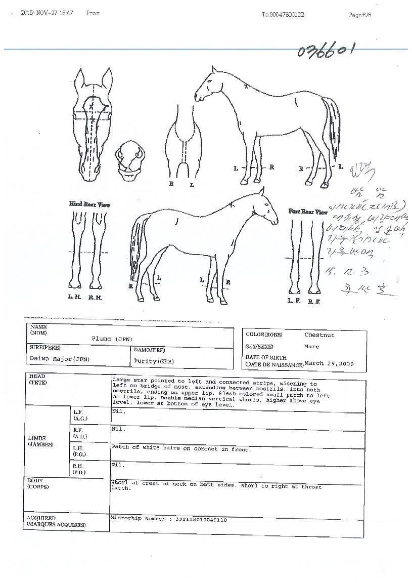 �÷��� ����,���,�޸�,�λ�,�ٸ��� Ư¡����