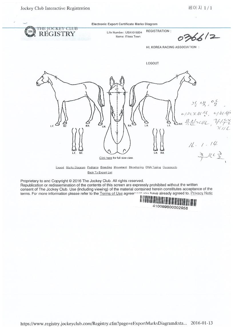 ¿¤¸®»çŸ¿îÀÇ Ãø¸é,¿ì¸é,µÞ¸é,µÎ»ó,´Ù¸®ÀÇ Æ¯Â¡µµÇØ