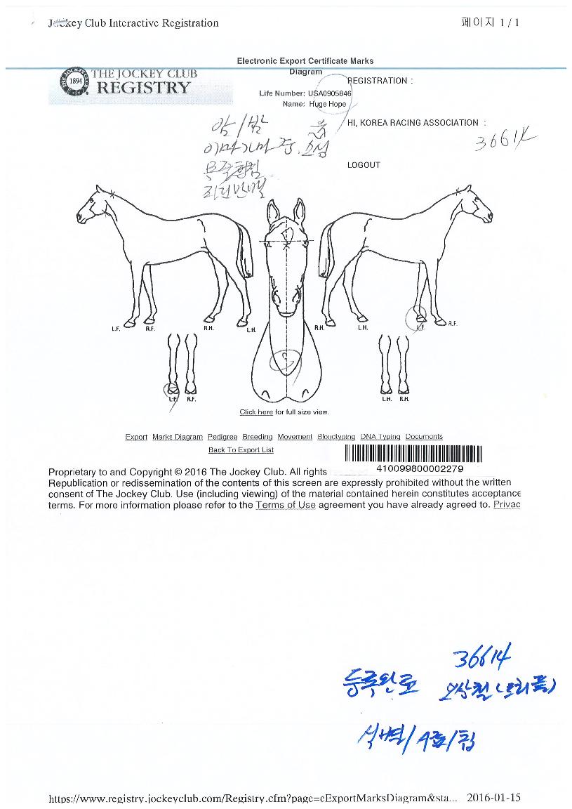 ÈÞÁöÈ£ÇÁÀÇ Ãø¸é,¿ì¸é,µÞ¸é,µÎ»ó,´Ù¸®ÀÇ Æ¯Â¡µµÇØ