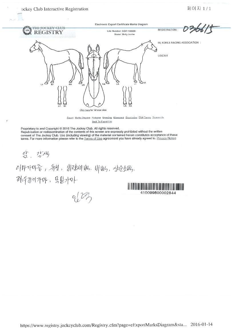 ¸ô¸®Á¶´øÀÇ Ãø¸é,¿ì¸é,µÞ¸é,µÎ»ó,´Ù¸®ÀÇ Æ¯Â¡µµÇØ