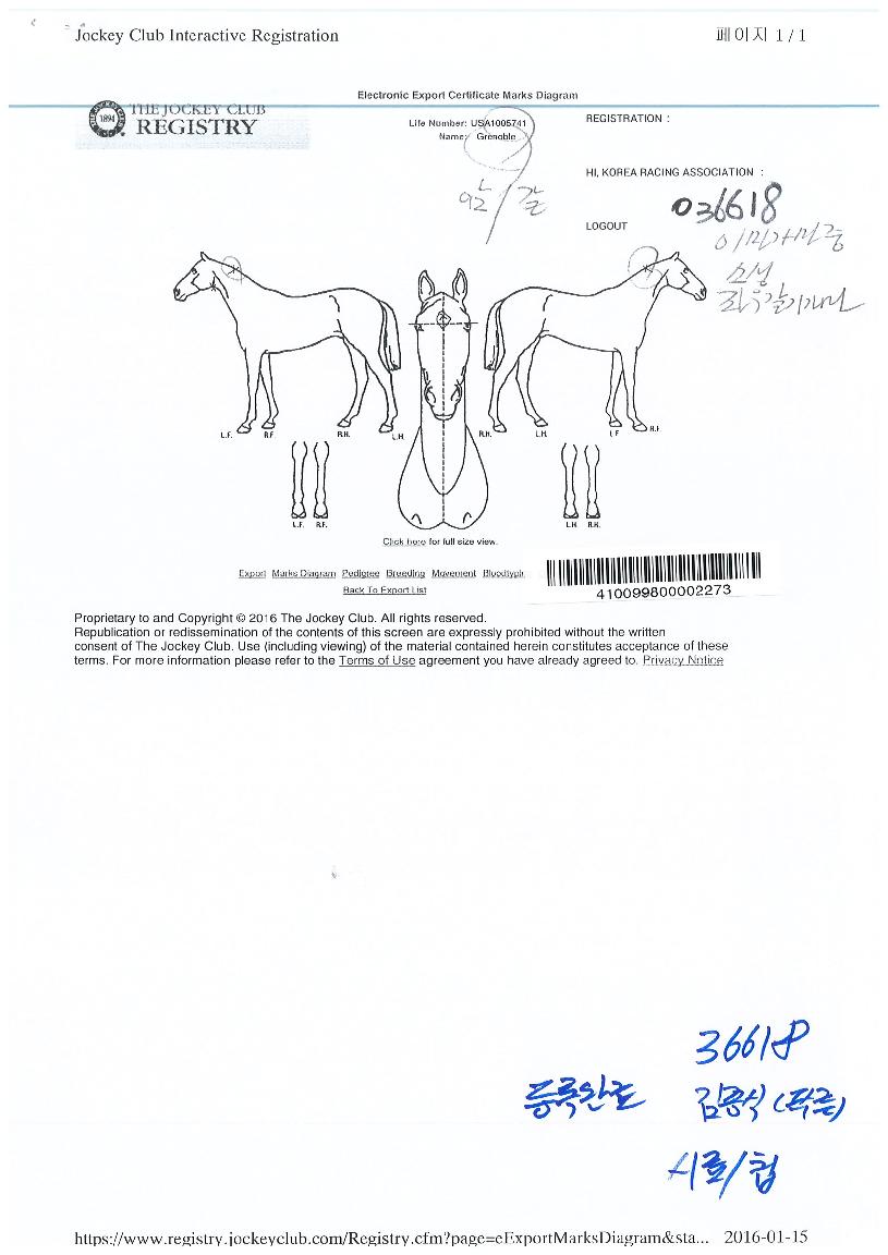 ±×·¹³ëºíÀÇ Ãø¸é,¿ì¸é,µÞ¸é,µÎ»ó,´Ù¸®ÀÇ Æ¯Â¡µµÇØ