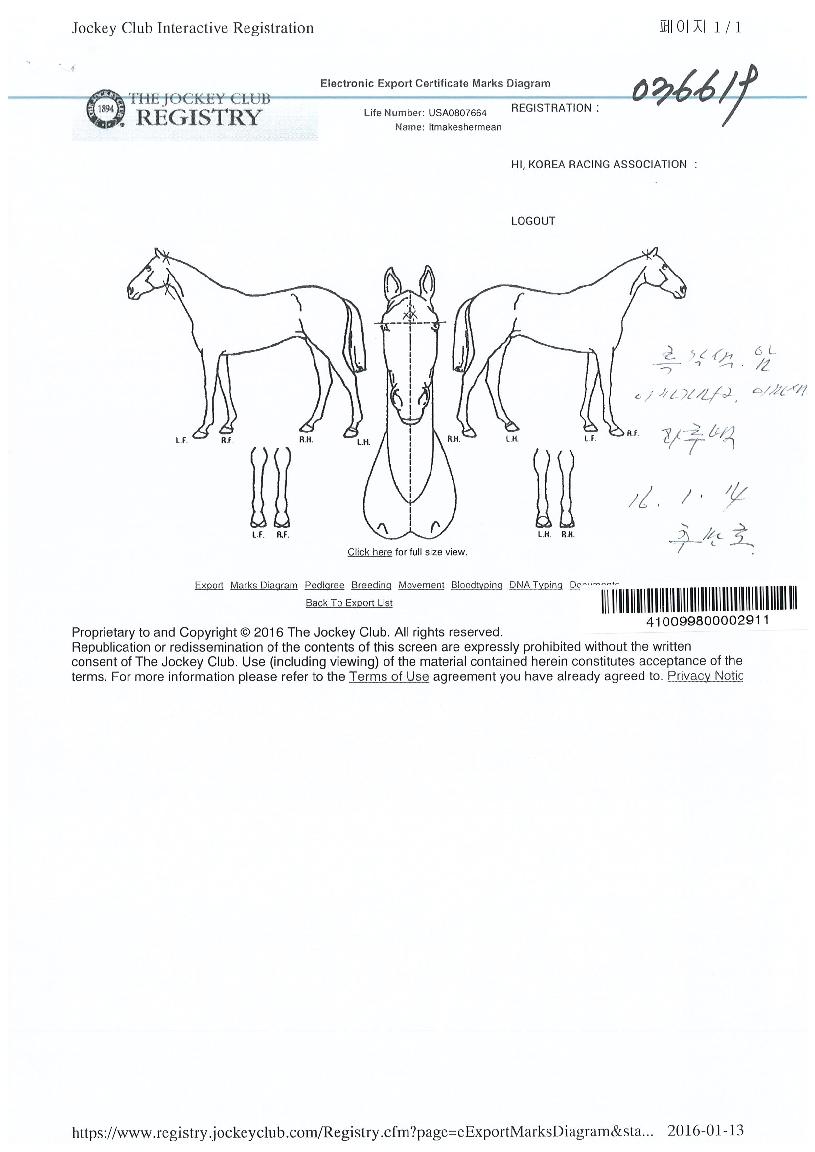 �ո��ͽ������ ����,���,�޸�,�λ�,�ٸ��� Ư¡����