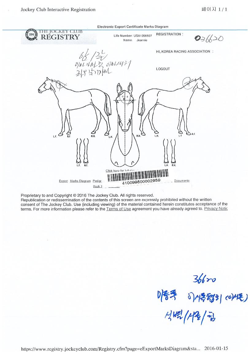 ������ ����,���,�޸�,�λ�,�ٸ��� Ư¡����