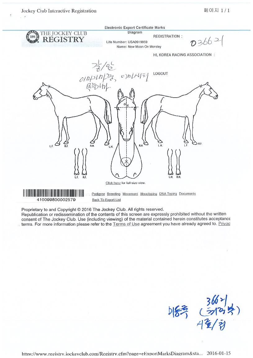 �����¸յ����� ����,���,�޸�,�λ�,�ٸ��� Ư¡����