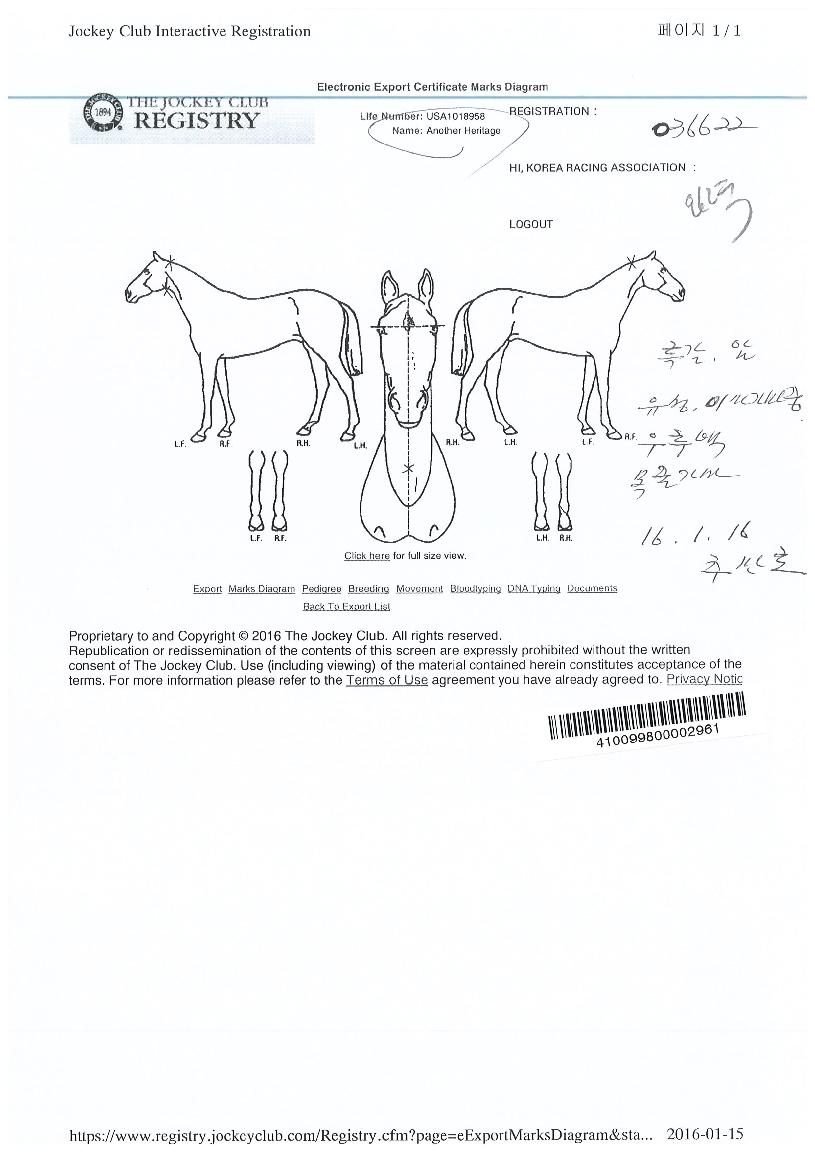 ����츮Ƽ���� ����,���,�޸�,�λ�,�ٸ��� Ư¡����