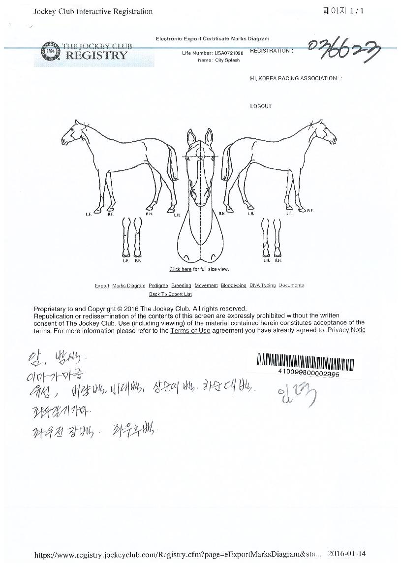 ½ÃƼ½ºÇ÷¡½¬ÀÇ Ãø¸é,¿ì¸é,µÞ¸é,µÎ»ó,´Ù¸®ÀÇ Æ¯Â¡µµÇØ