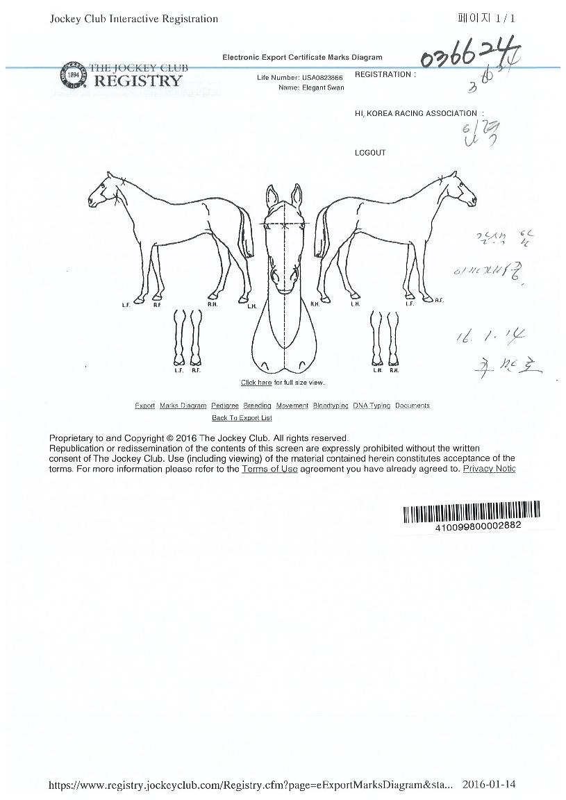 ¿¤·¹°ÇÆ®½º¿ÏÀÇ Ãø¸é,¿ì¸é,µÞ¸é,µÎ»ó,´Ù¸®ÀÇ Æ¯Â¡µµÇØ