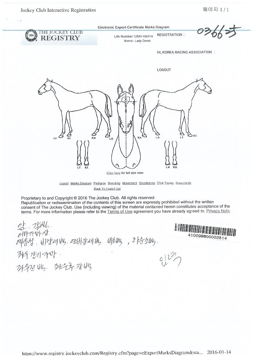 ���̵𵥸��� ����,���,�޸�,�λ�,�ٸ��� Ư¡����