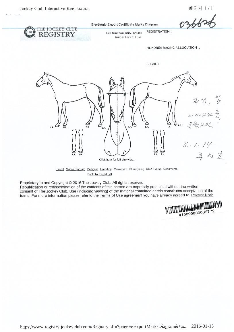 ������������ ����,���,�޸�,�λ�,�ٸ��� Ư¡����