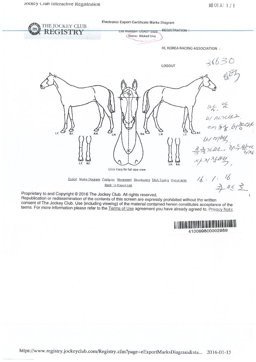 ��Ű������ ����,���,�޸�,�λ�,�ٸ��� Ư¡����