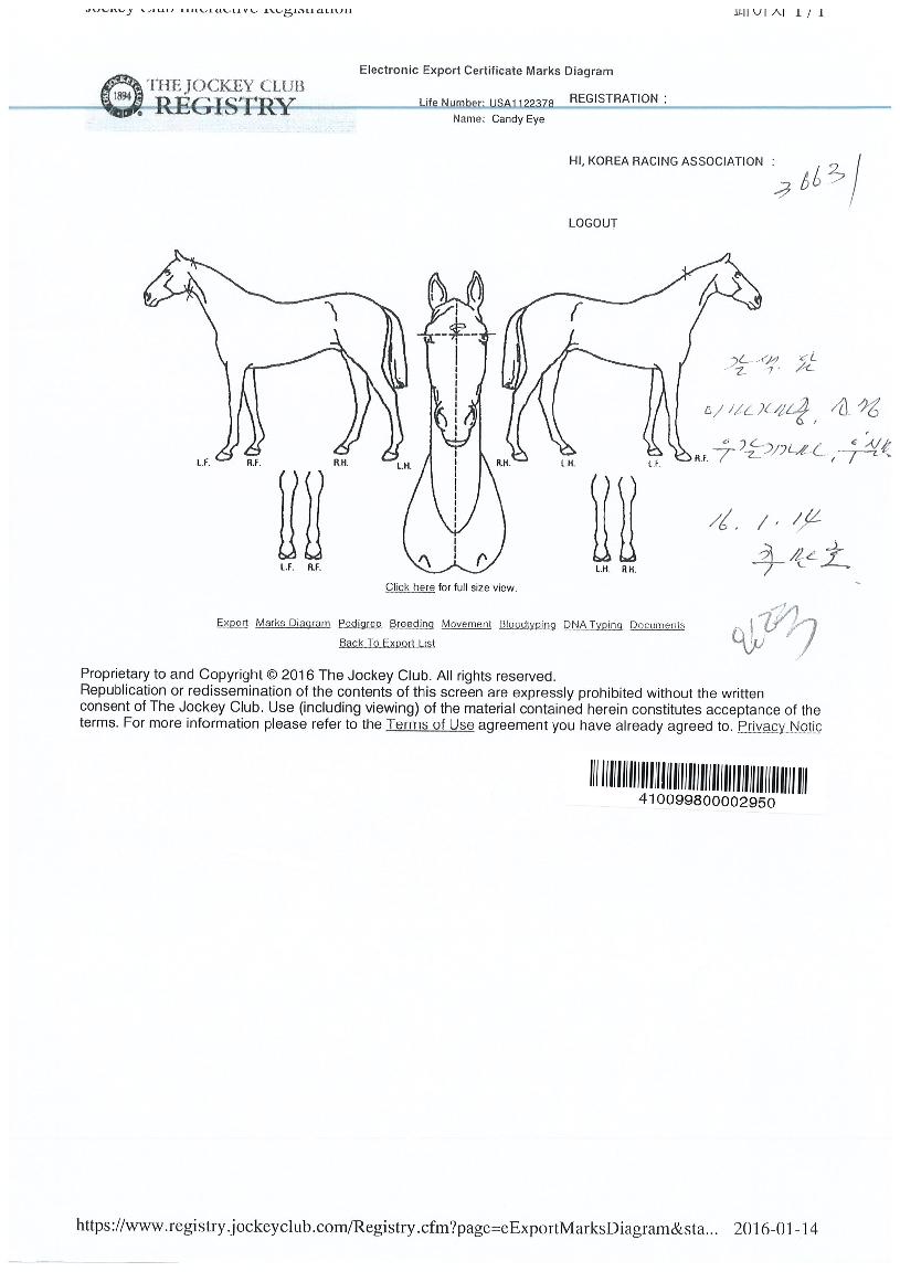 ĵ������� ����,���,�޸�,�λ�,�ٸ��� Ư¡����