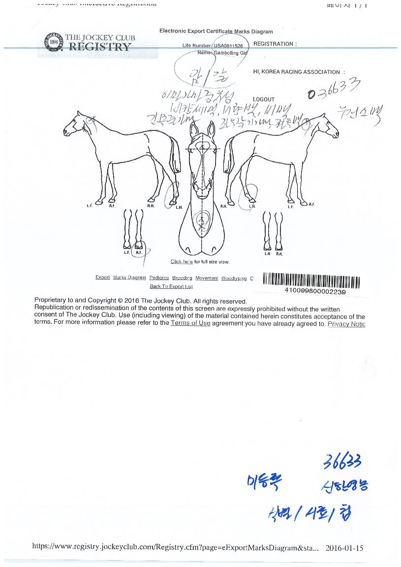 ���������� ����,���,�޸�,�λ�,�ٸ��� Ư¡����