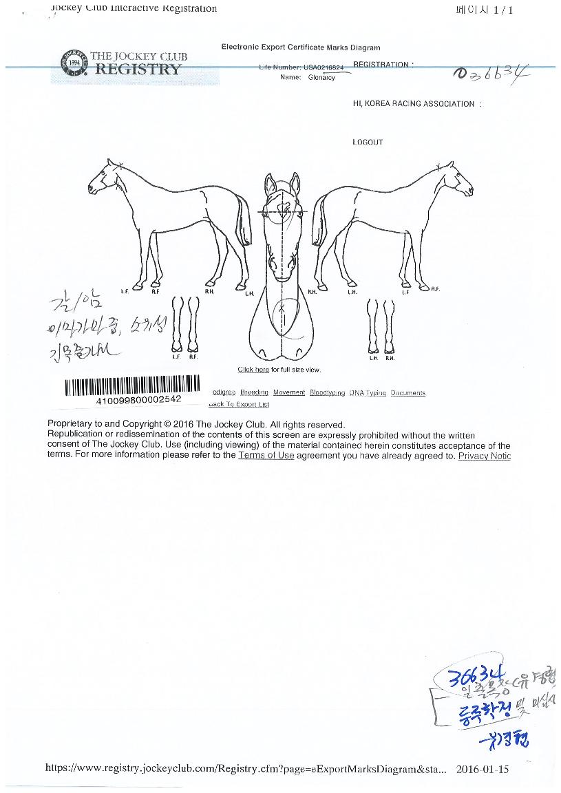 ±Û·¹³ª½ÃÀÇ Ãø¸é,¿ì¸é,µÞ¸é,µÎ»ó,´Ù¸®ÀÇ Æ¯Â¡µµÇØ