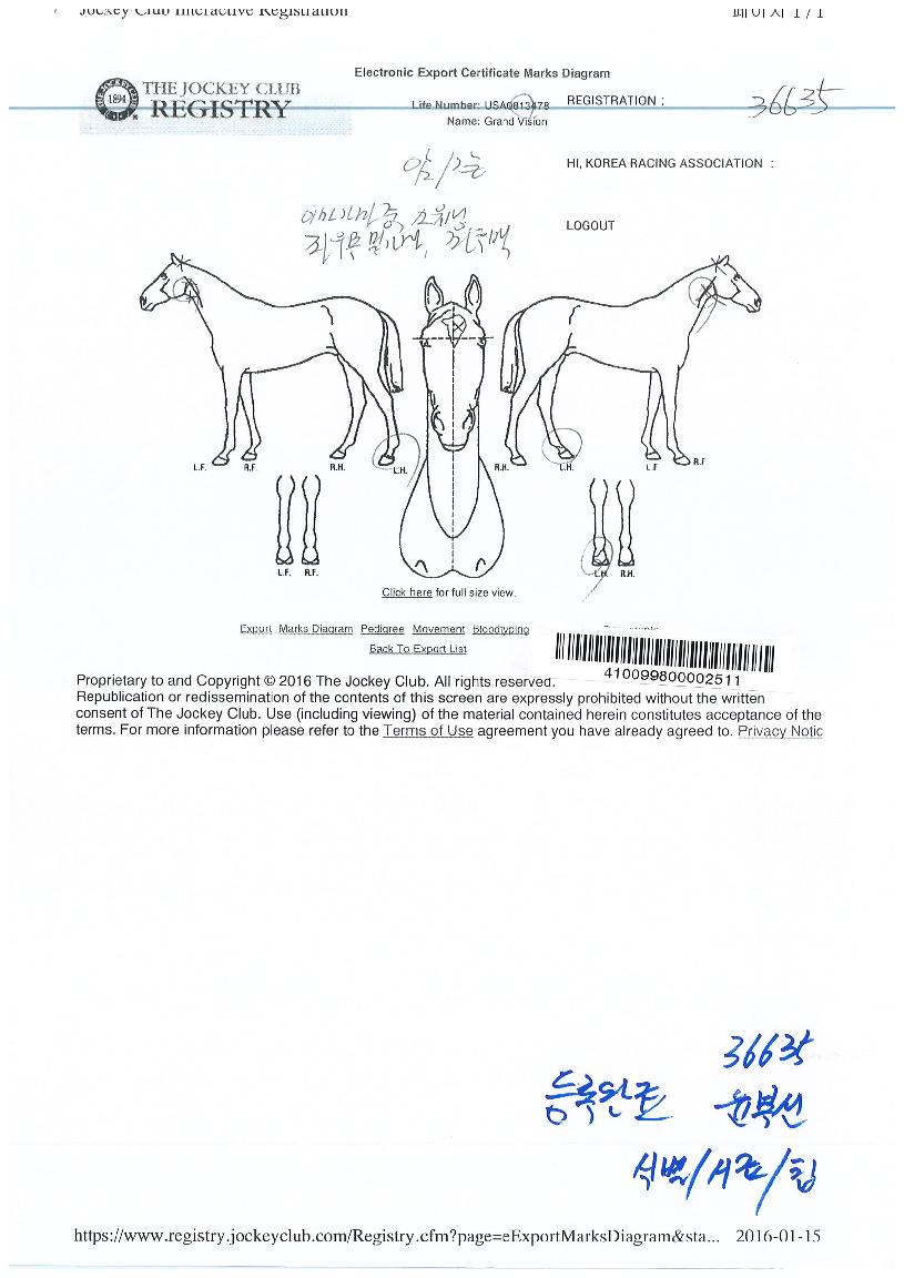 ±×·£µåºñÀüÀÇ Ãø¸é,¿ì¸é,µÞ¸é,µÎ»ó,´Ù¸®ÀÇ Æ¯Â¡µµÇØ