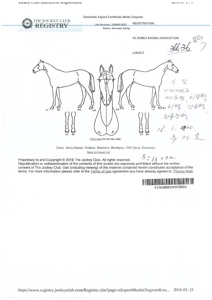 ¾î³Ê·¯¸®°¶·´ÀÇ Ãø¸é,¿ì¸é,µÞ¸é,µÎ»ó,´Ù¸®ÀÇ Æ¯Â¡µµÇØ