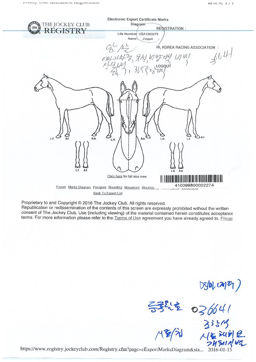 ���������� ����,���,�޸�,�λ�,�ٸ��� Ư¡����