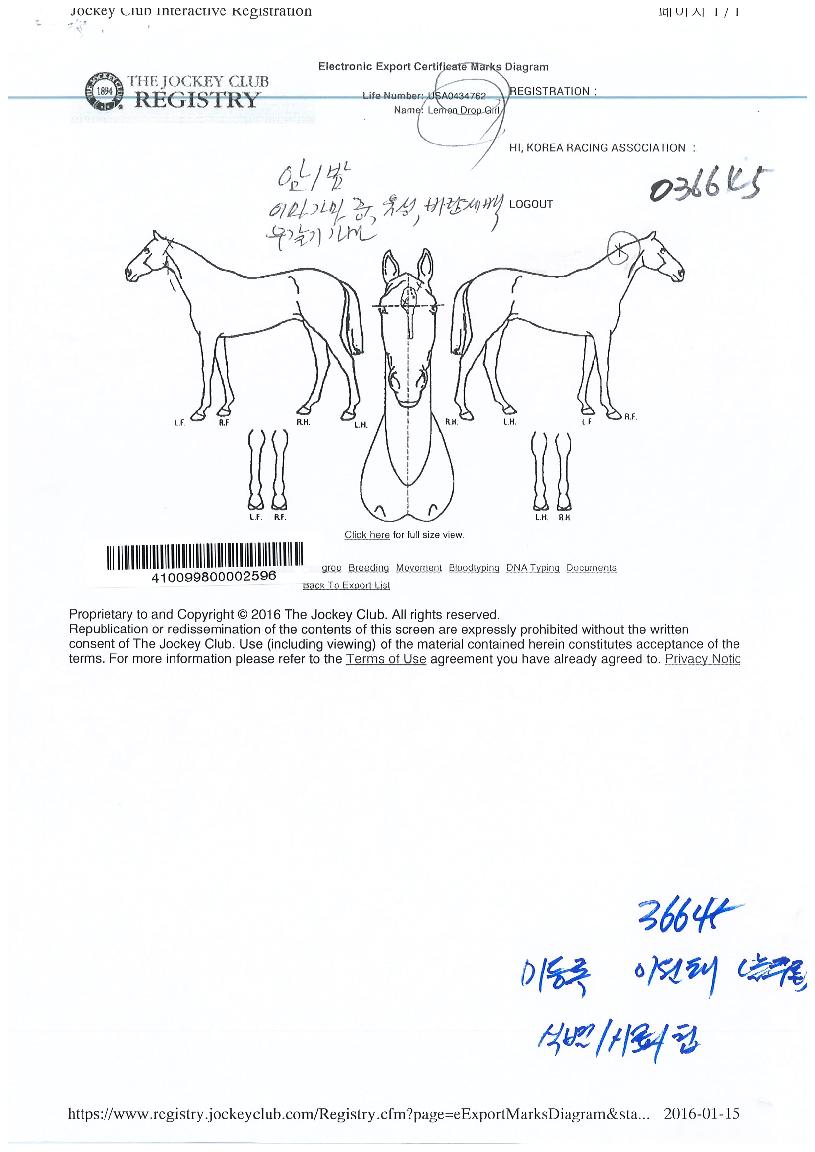 ·¹¸óµå·Ó°ÉÀÇ Ãø¸é,¿ì¸é,µÞ¸é,µÎ»ó,´Ù¸®ÀÇ Æ¯Â¡µµÇØ