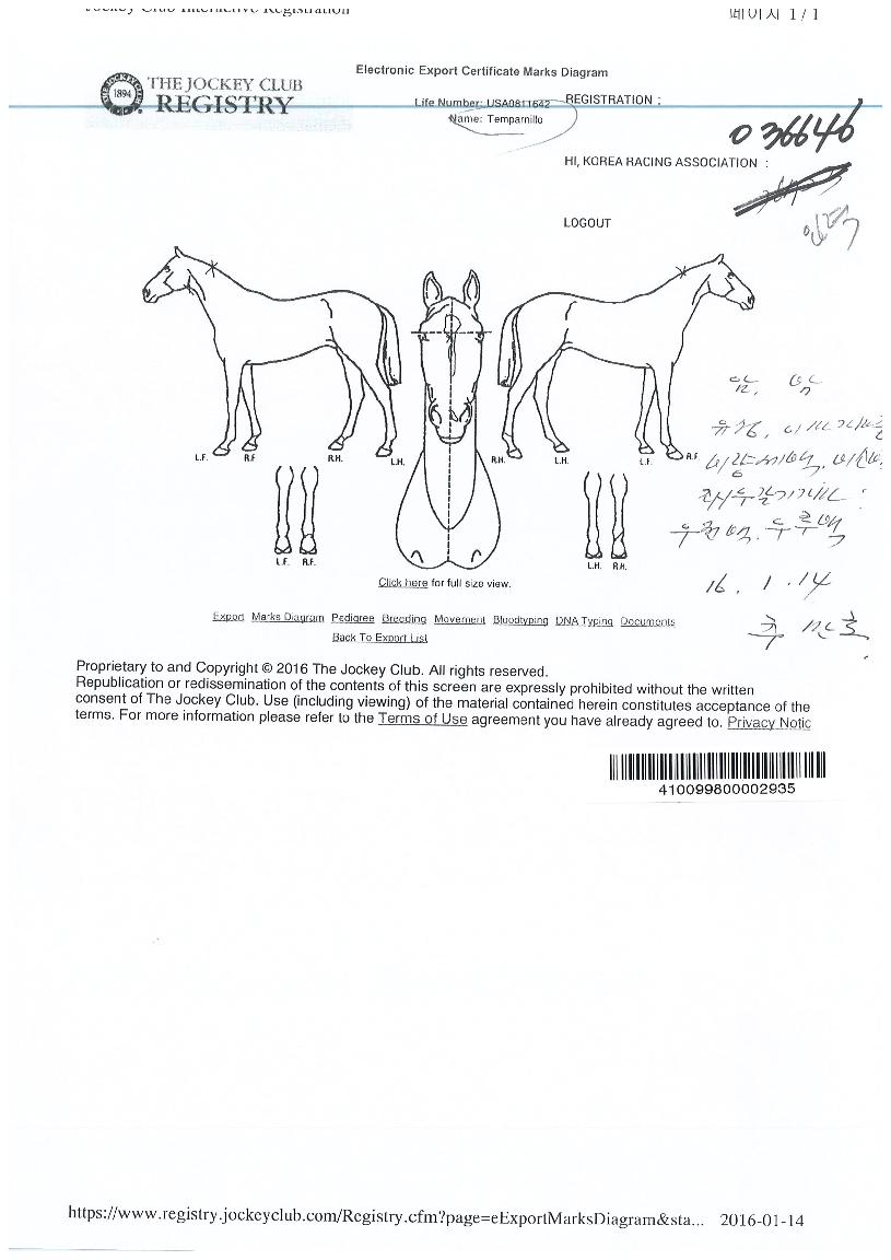 ÅÛÆÄ¸£´Ï¿äÀÇ Ãø¸é,¿ì¸é,µÞ¸é,µÎ»ó,´Ù¸®ÀÇ Æ¯Â¡µµÇØ