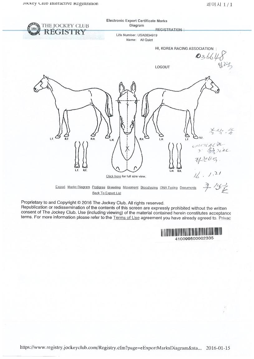 ¿ÃÄâÀÌ¾îÆ®ÀÇ Ãø¸é,¿ì¸é,µÞ¸é,µÎ»ó,´Ù¸®ÀÇ Æ¯Â¡µµÇØ