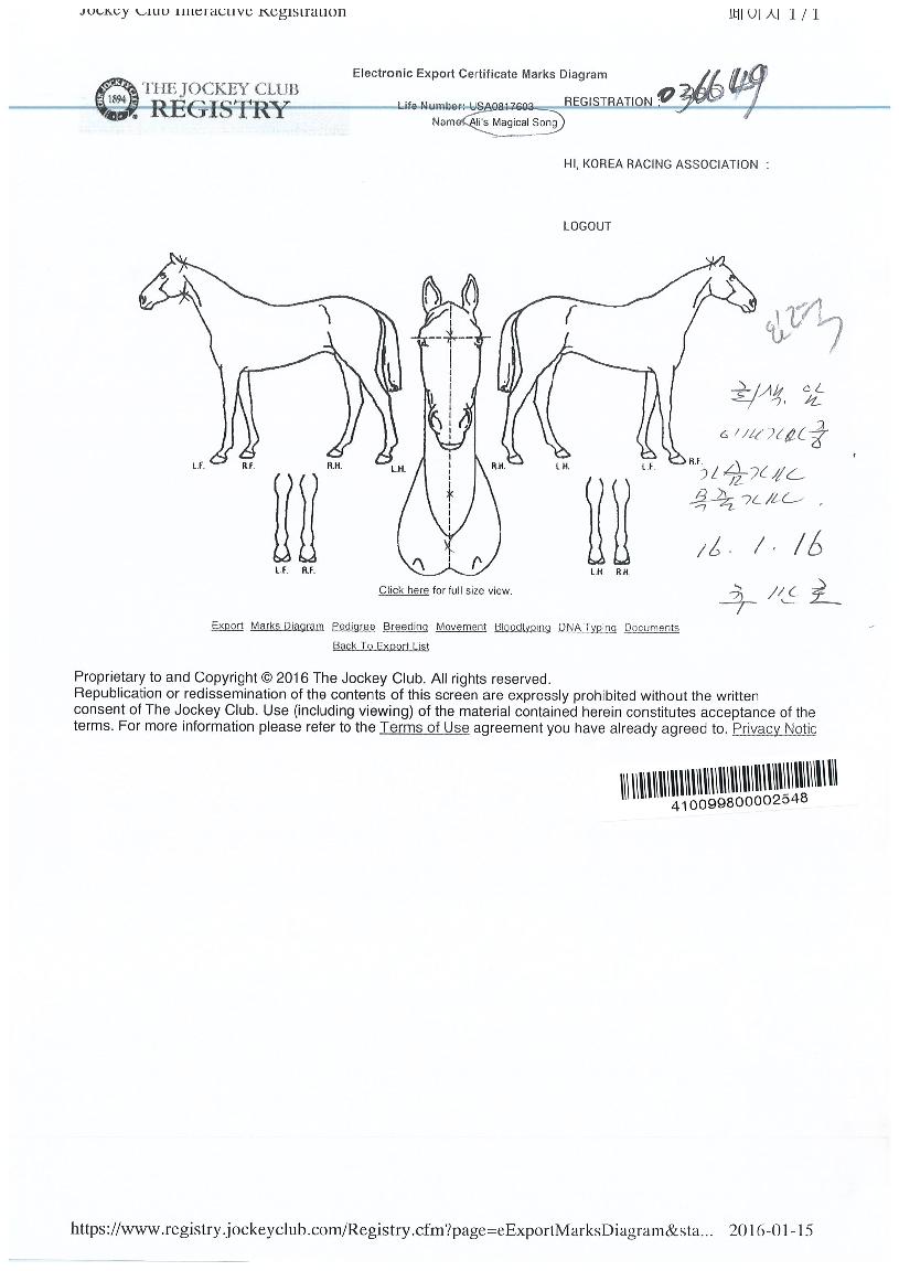 �˸��������ü��� ����,���,�޸�,�λ�,�ٸ��� Ư¡����