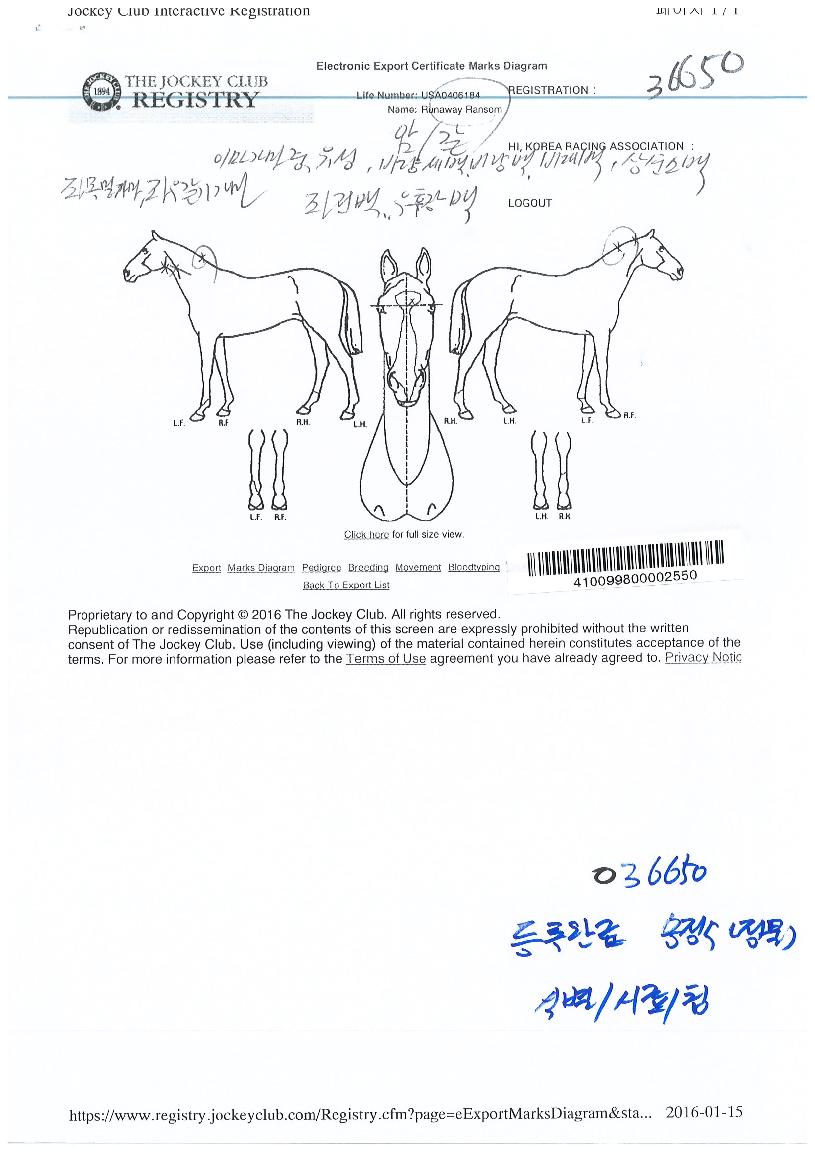 ·¯³Ê¿þÀÌ·£¼¶ÀÇ Ãø¸é,¿ì¸é,µÞ¸é,µÎ»ó,´Ù¸®ÀÇ Æ¯Â¡µµÇØ