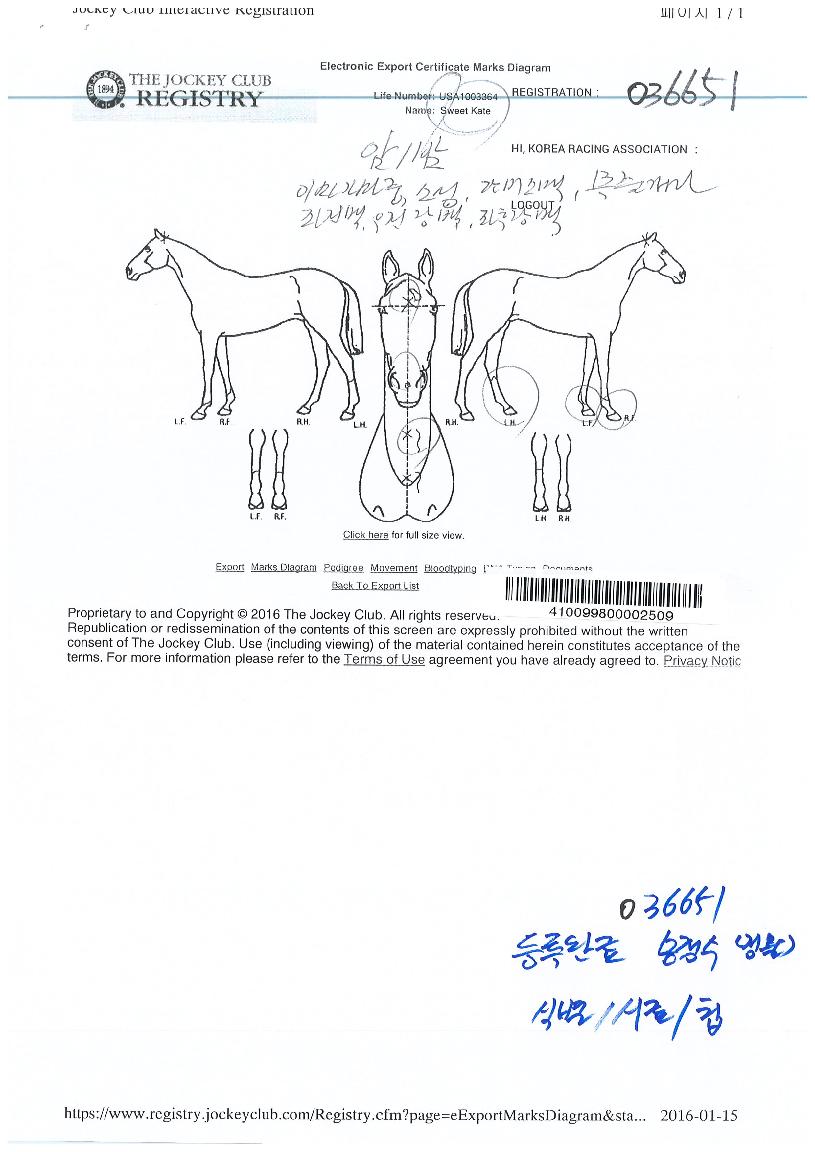 ½ºÀ§Æ®ÄÉÀÌÆ®ÀÇ Ãø¸é,¿ì¸é,µÞ¸é,µÎ»ó,´Ù¸®ÀÇ Æ¯Â¡µµÇØ