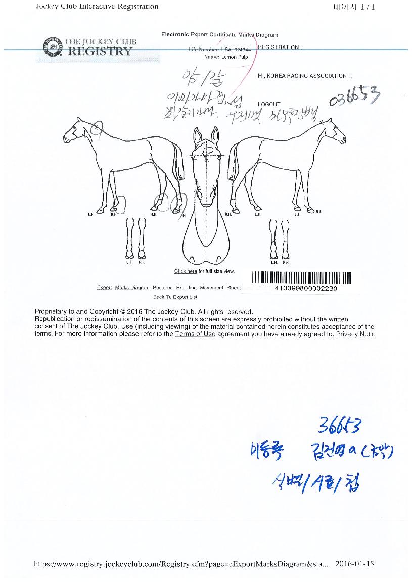 ���������� ����,���,�޸�,�λ�,�ٸ��� Ư¡����