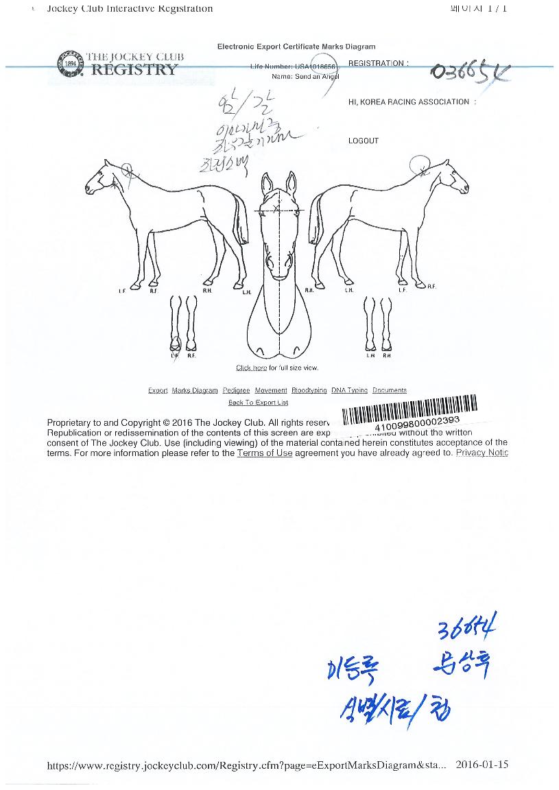 ¼¾µå¾Ø¿£Á©ÀÇ Ãø¸é,¿ì¸é,µÞ¸é,µÎ»ó,´Ù¸®ÀÇ Æ¯Â¡µµÇØ