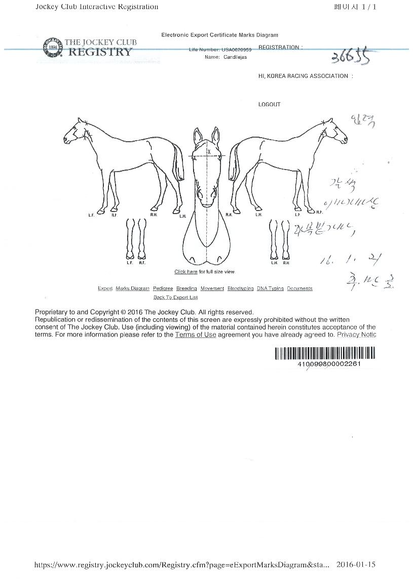 ĭ�����Ͻ��� ����,���,�޸�,�λ�,�ٸ��� Ư¡����