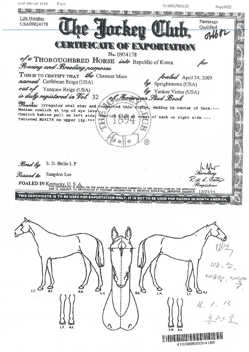 ij¸®ºñ¾È·¹ÀÎÀÇ Ãø¸é,¿ì¸é,µÞ¸é,µÎ»ó,´Ù¸®ÀÇ Æ¯Â¡µµÇØ