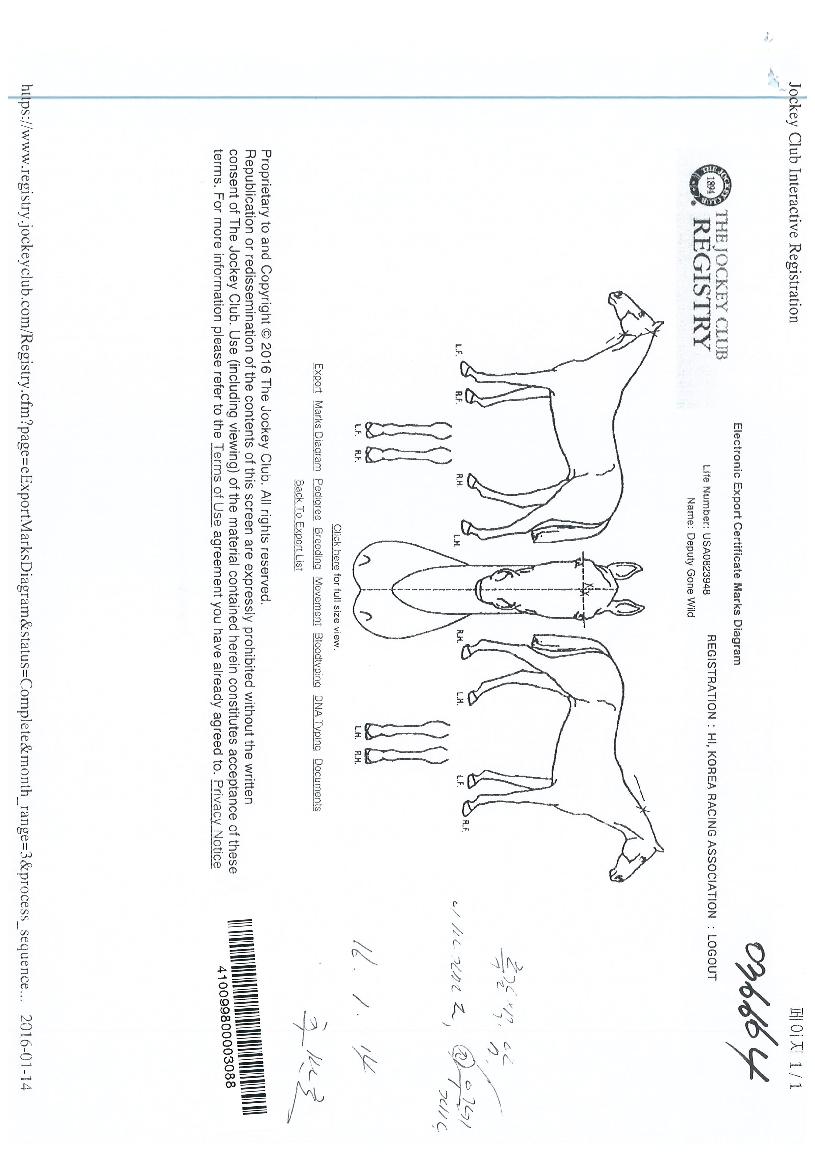 ��ǻƼ�������� ����,���,�޸�,�λ�,�ٸ��� Ư¡����