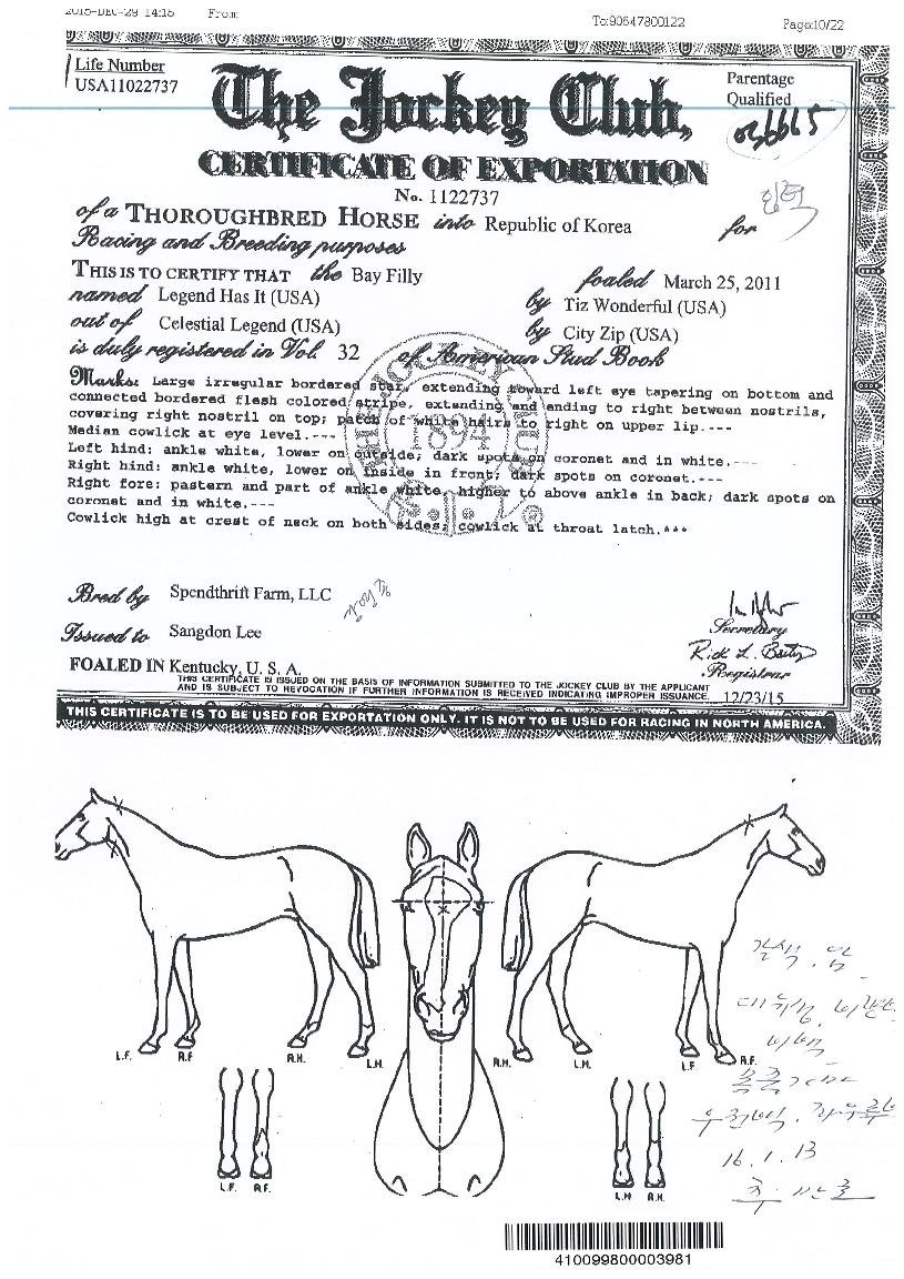 �������������� ����,���,�޸�,�λ�,�ٸ��� Ư¡����