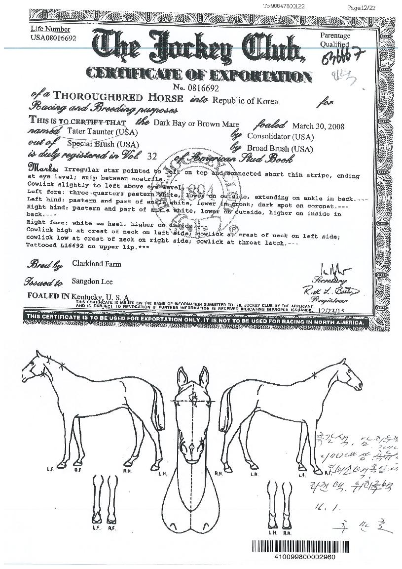 ������������ ����,���,�޸�,�λ�,�ٸ��� Ư¡����