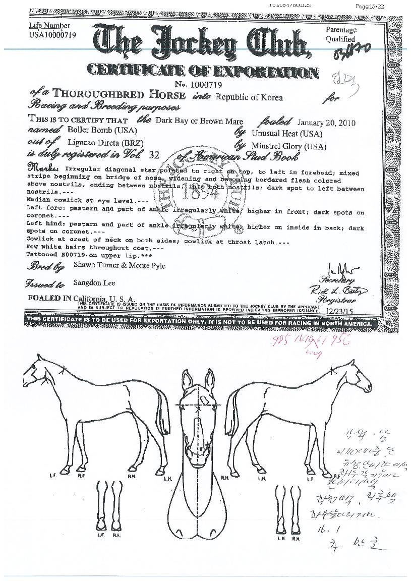 º¼·¯º½ÀÇ Ãø¸é,¿ì¸é,µÞ¸é,µÎ»ó,´Ù¸®ÀÇ Æ¯Â¡µµÇØ