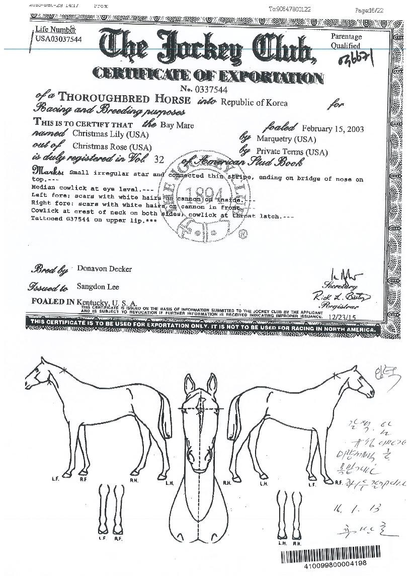 Å©¸®½º¸¶½º¸±¸®ÀÇ Ãø¸é,¿ì¸é,µÞ¸é,µÎ»ó,´Ù¸®ÀÇ Æ¯Â¡µµÇØ