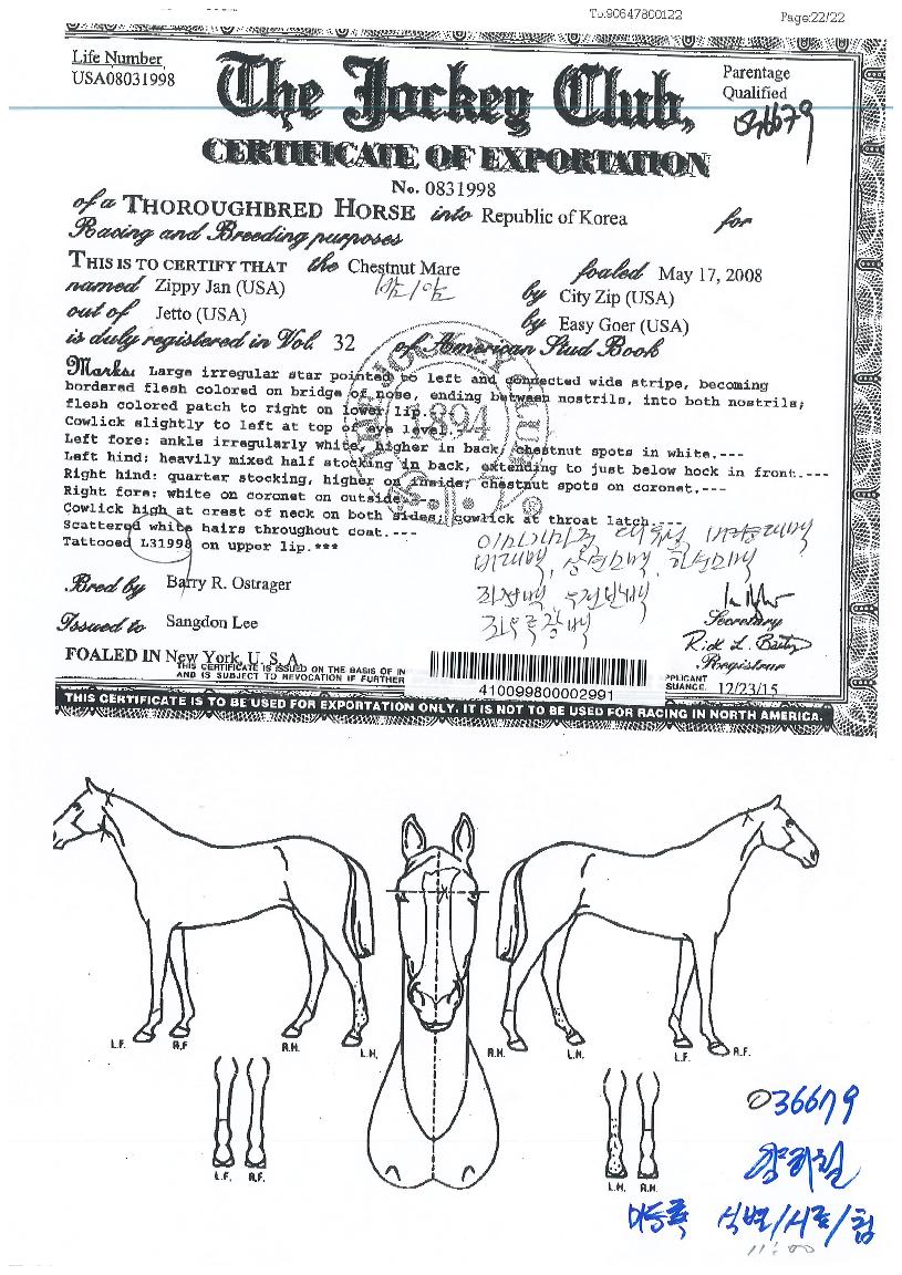 ÁöÇǾáÀÇ Ãø¸é,¿ì¸é,µÞ¸é,µÎ»ó,´Ù¸®ÀÇ Æ¯Â¡µµÇØ