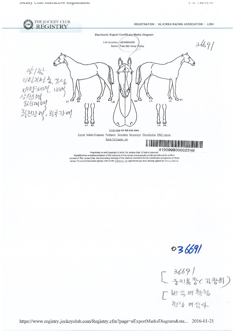 ����ũ�̾�������� ����,���,�޸�,�λ�,�ٸ��� Ư¡����