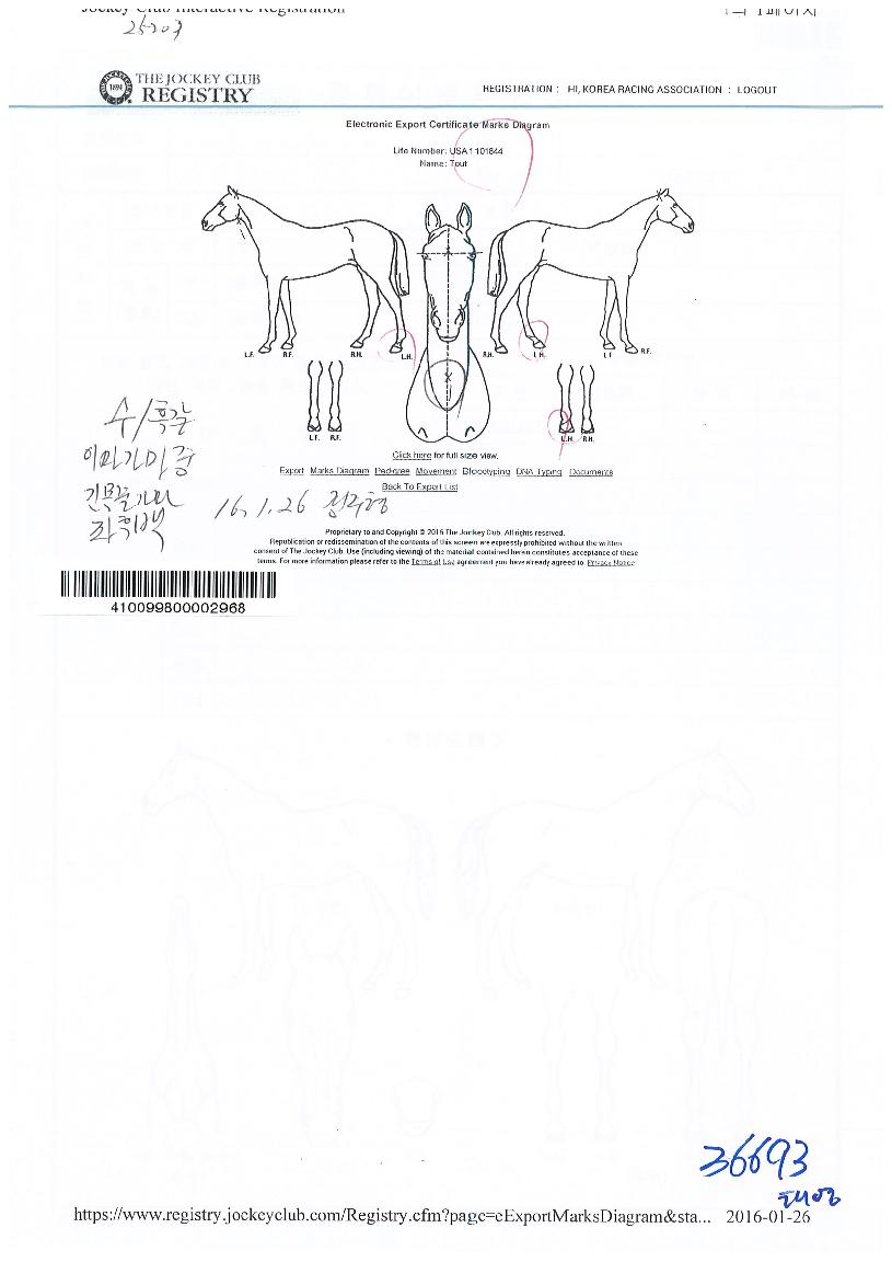 ���Ʈ�� ����,���,�޸�,�λ�,�ٸ��� Ư¡����