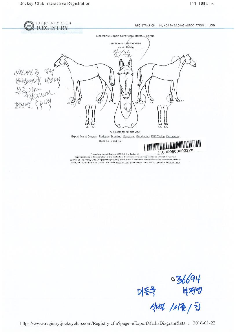 µåºôÀÇ Ãø¸é,¿ì¸é,µÞ¸é,µÎ»ó,´Ù¸®ÀÇ Æ¯Â¡µµÇØ