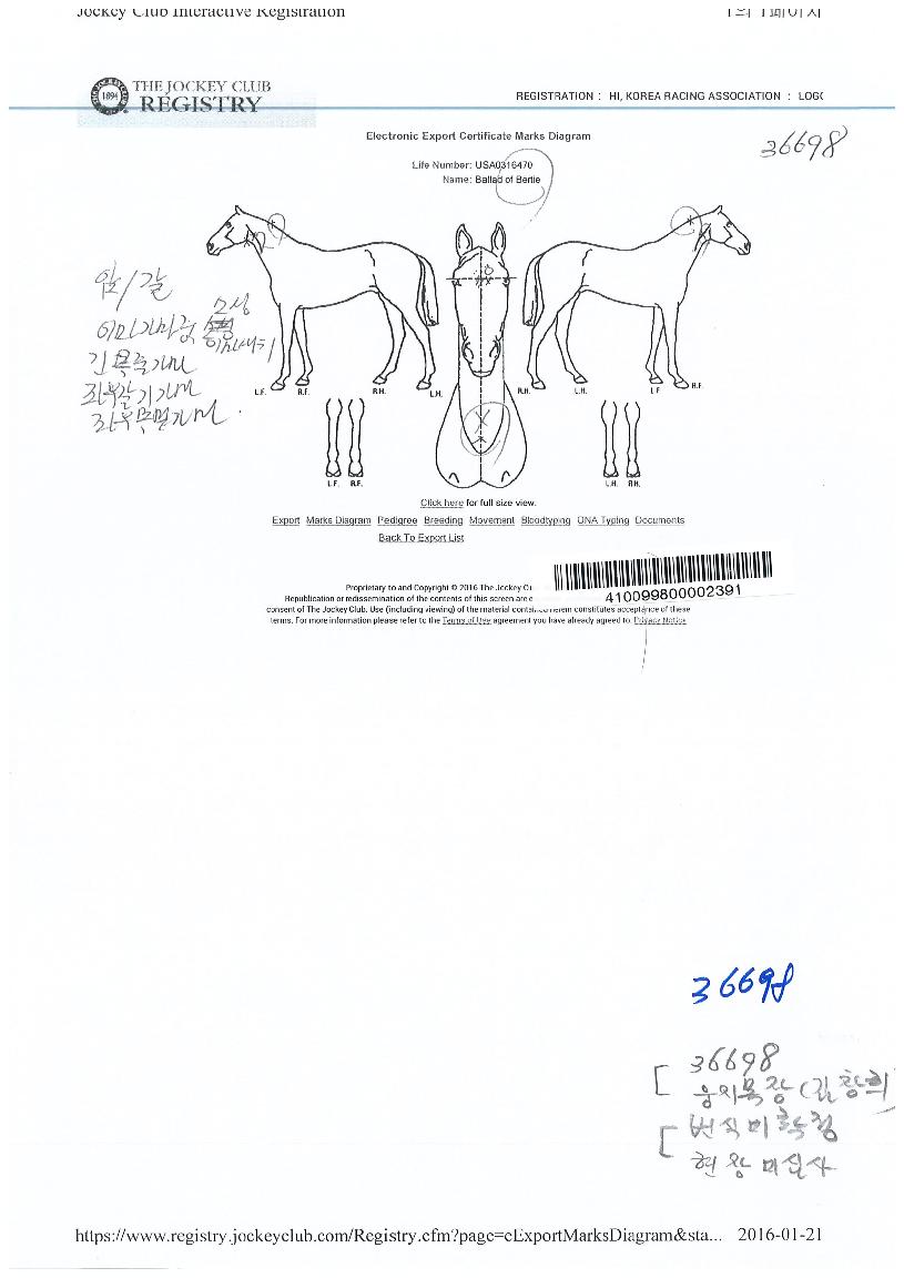 ¹ë·¯µå¾îºê¹öƼÀÇ Ãø¸é,¿ì¸é,µÞ¸é,µÎ»ó,´Ù¸®ÀÇ Æ¯Â¡µµÇØ