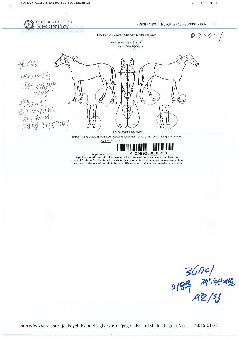 ¹Ì½º¿ø´õ¸®ÀÇ Ãø¸é,¿ì¸é,µÞ¸é,µÎ»ó,´Ù¸®ÀÇ Æ¯Â¡µµÇØ